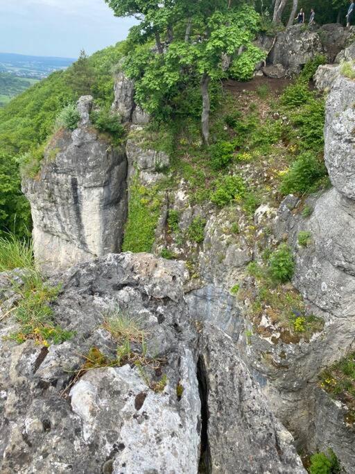 Laendliche Fewo Wildblume, 4 Km Zum Stausee Happurg Exterior photo